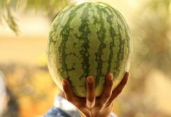 2021娱乐圈吃瓜,瓜田李下，明星们的年度“瓜”事盘点