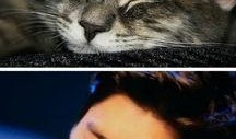 娱乐圈吃瓜猫是谁啊,揭秘神秘“吃瓜猫”的真实身份