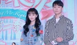 娱乐圈吃瓜评论,揭秘明星背后的故事与真相