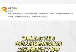 娱乐圈吃瓜爆料文案模板,当红明星背后的惊人真相，你绝对想不到！