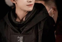 娱乐圈吃瓜爆料张颂文,娱乐圈爆料背后的真相与反思