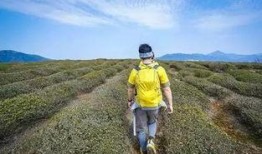 娱乐吃瓜酱徒步二十里