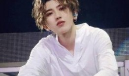 娱乐吃瓜酱蔡徐坤,从偶像到流量王，娱乐吃瓜酱的独家揭秘