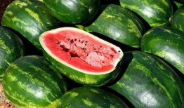 娱乐吃瓜素材视频大全,笑料百出，精彩纷呈！