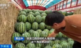 娱乐718吃瓜入口,揭秘明星幕后吃瓜入口，带你领略娱乐圈真实一面