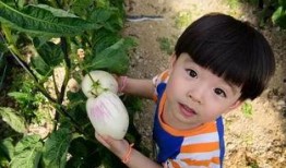 娱乐吃瓜酱死去的童年,回忆逝去的童年，探寻瓜田里的那些年