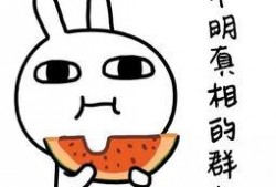 娱乐吃瓜爆款短篇,笑料连连，明星们的“幕后故事”