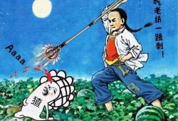 吃瓜群众谈娱乐,吃瓜群众视角下的娱乐热点解析