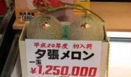 仅供吃瓜娱乐,揭秘明星们的吃瓜日常