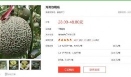娱乐718.吃瓜网入口,吃瓜网入口带你畅游娱乐圈