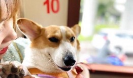 娱乐吃瓜爆料最新版下载,揭秘娱乐圈幕后真相！