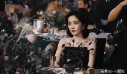 娱乐吃瓜酱衣服在线观看,揭秘明星衣橱，在线观看时尚盛宴