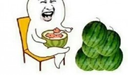 娱乐吃瓜自我介绍