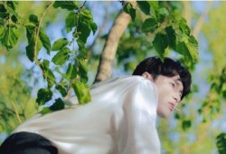 娱乐吃瓜张艺兴,从娱乐吃瓜到实力偶像的蜕变之路