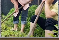 娱乐健身吃瓜,吃瓜群众乐翻天