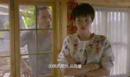 娱乐吃瓜酱情侣吵架视频,娱乐吃瓜酱带你领略甜蜜与火药味的碰撞