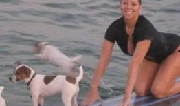 娱乐吃瓜君狗狗,揭秘娱乐圈宠物的趣味生活