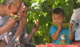 娱乐吃瓜群众集合视频,吃瓜群众视角下的精彩瞬间